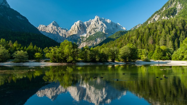 Weer in  Kranjska Gora in februari