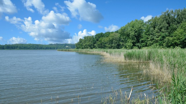 Weer in  Kummerower See in juli