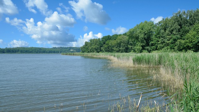 Weer in  Kummerower See in november