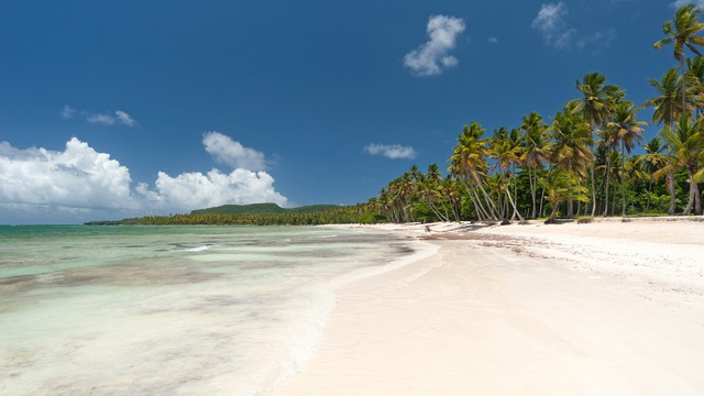 Weer in  Samaná in juli