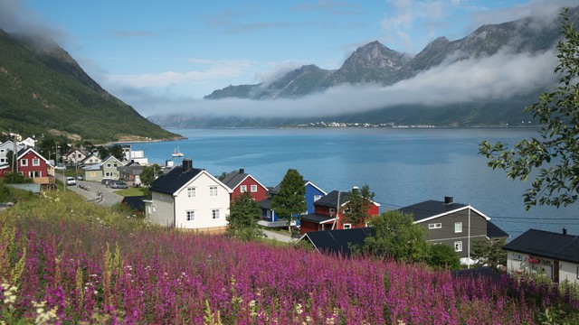 Weer op  Senja in juli