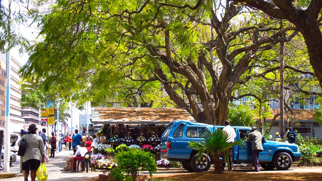 Le climat de Zimbabwe