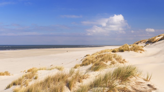 Weer in  Callantsoog in augustus