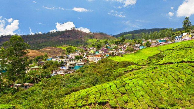 Weer in  Darjeeling in juli