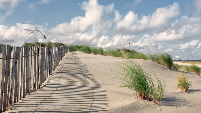 Weer in  Sint Maartenszee in oktober