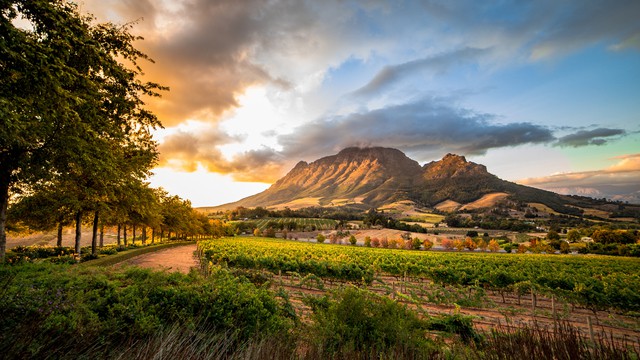 Weer in  Stellenbosch in juli