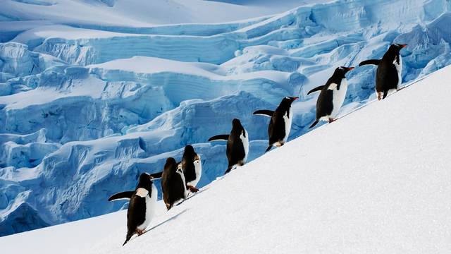 Heard Island and McDonald Islands