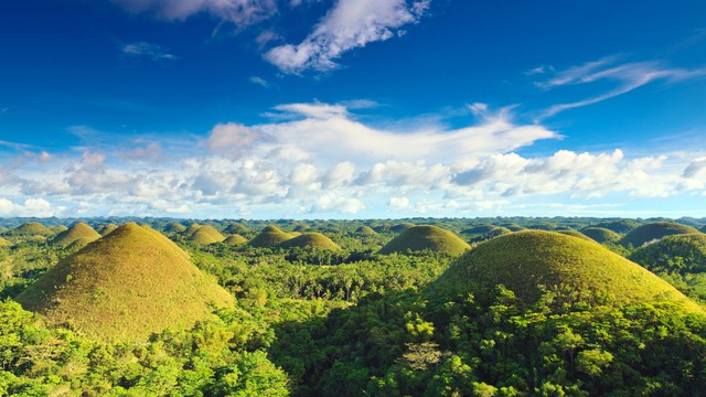 Weer in  Bohol in februari