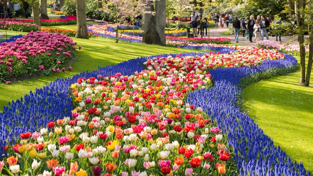 Klima v Keukenhof