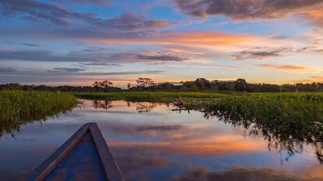 Le climat de Pucallpa