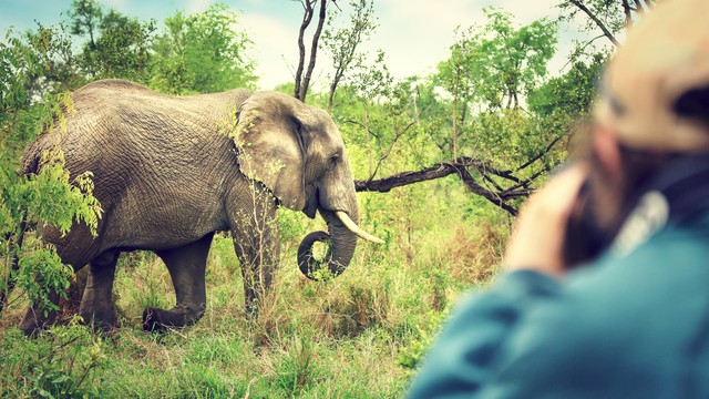 Weer in  Krugerpark in juli