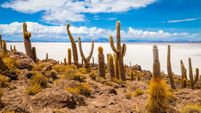O clima de Isla Incahuasi