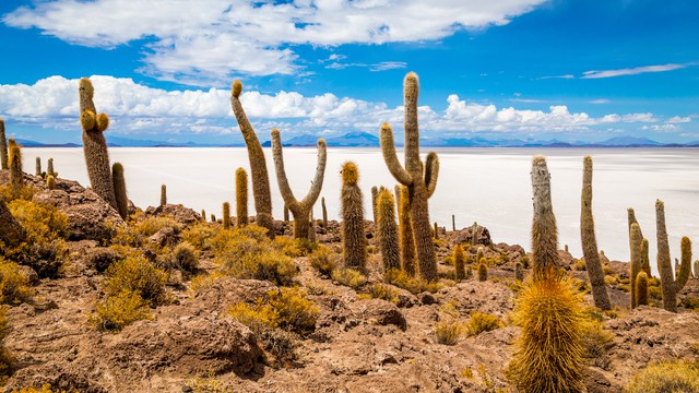 Weer in  Isla Incahuasi in juli