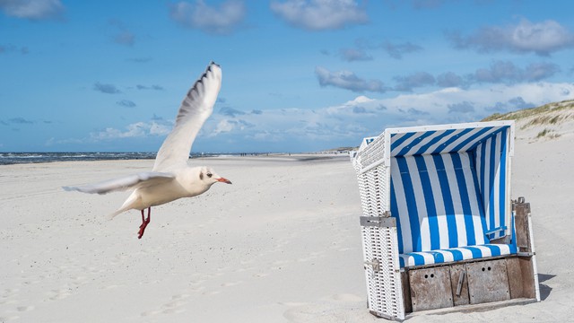 Weer in  Oost-Friese Waddeneilanden in oktober