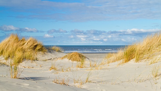 Het klimaat van Nieuwvliet-Bad en de beste reistijd