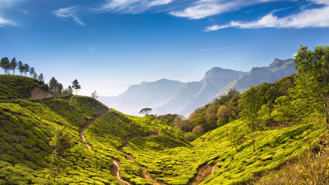 Weer in  Kerala in april