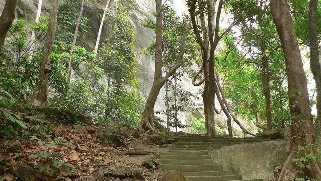 Klima v Guinea