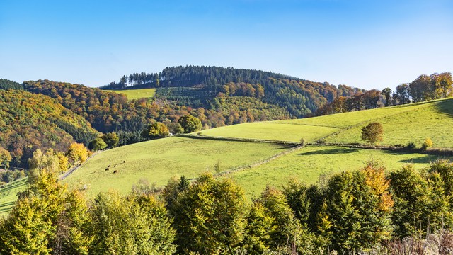 Sauerland