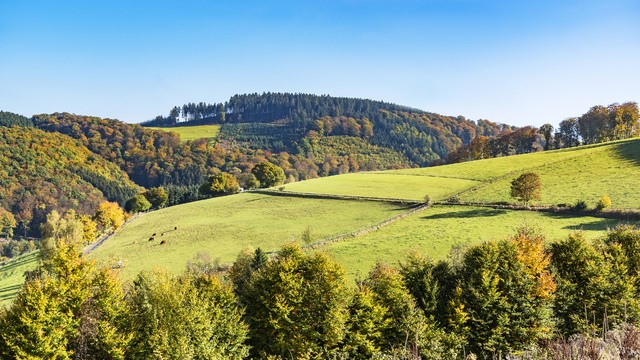 Weer in  Sauerland in januari