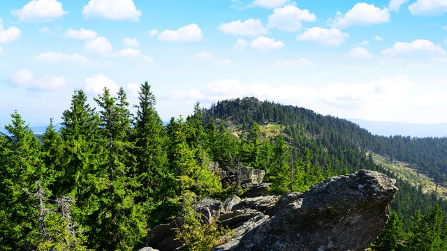 Bayerischer Wald