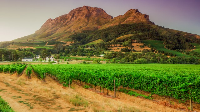 El clima en Enero en Cape Winelands