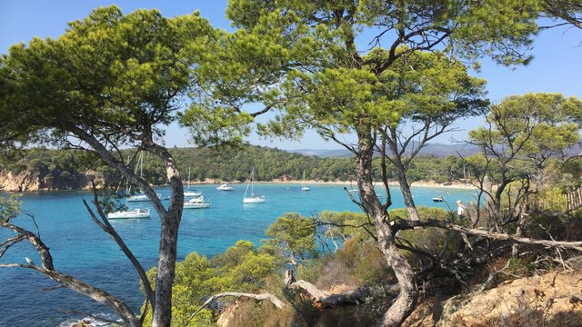Das Klima von Îles d'Hyères