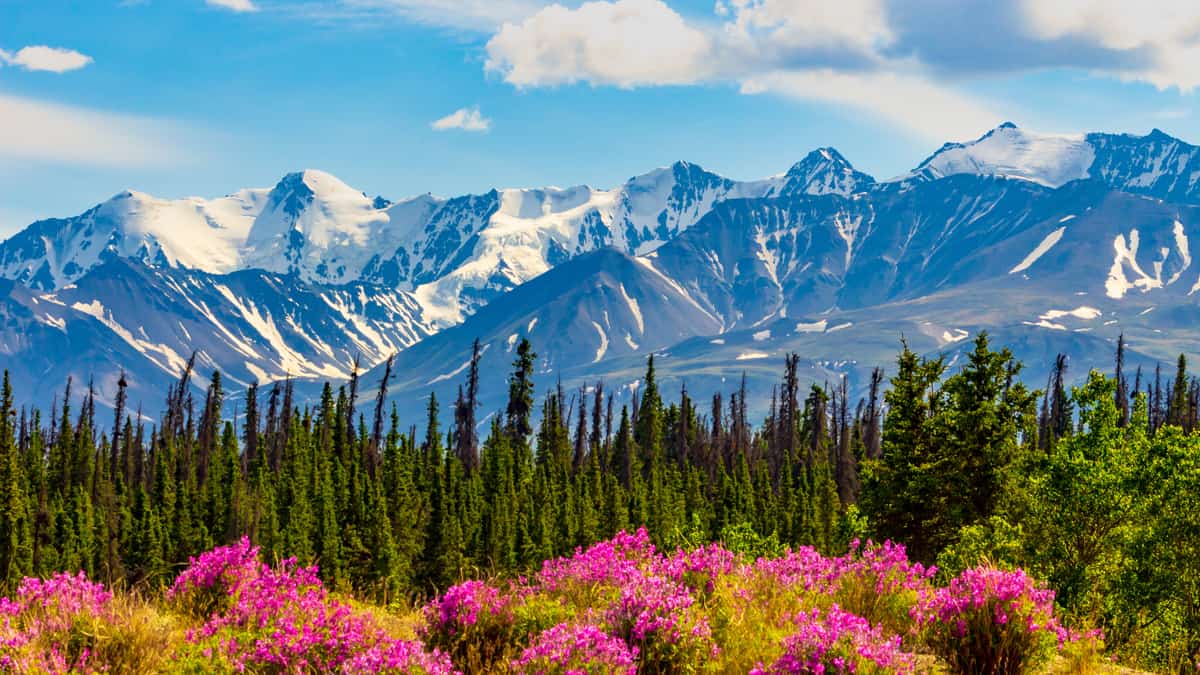 Clima de Yukon temperaturas, cuando visitar y alturas de nieve