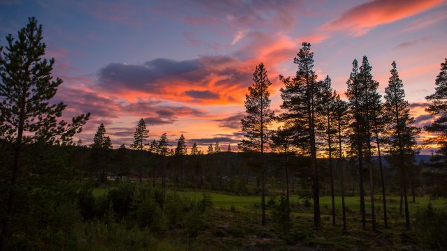 Klima v Nesbyen