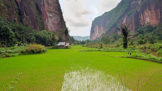 Weer in  Sumatra in augustus