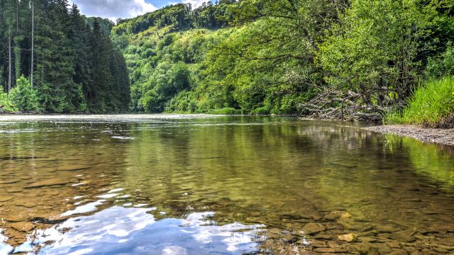 Weer in  Franse Ardennen in januari