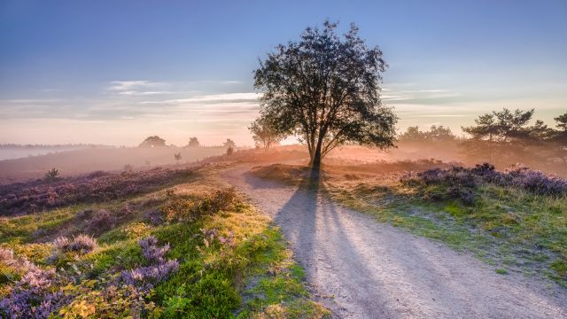 Weer in  Veluwe in oktober