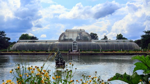 The Weather in Kew Gardens