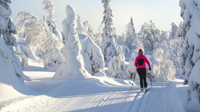 Het klimaat van Kuusamo en de beste reistijd