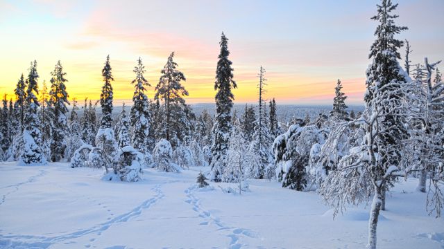 Weer in  Kittilä in januari