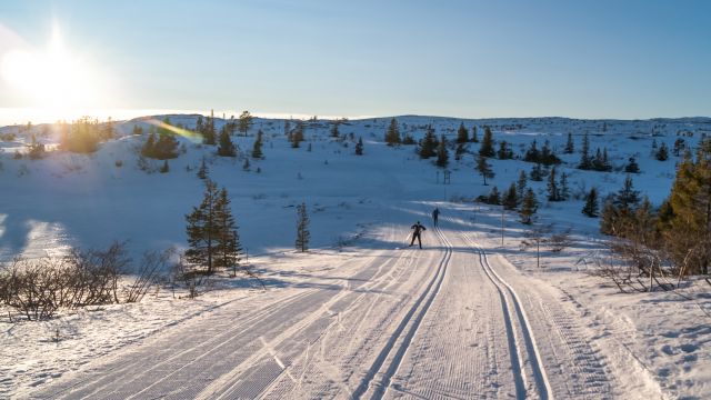 Klima v Branäs