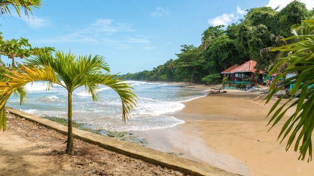 Weer in  Cahuita in januari