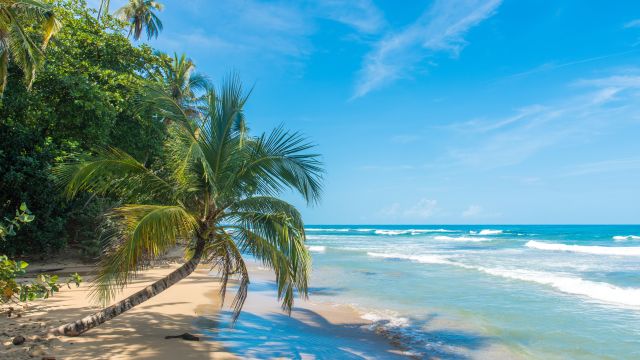 Le climat de Puerto Viejo