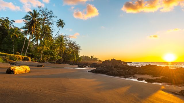Le climat de Puerto Jiménez