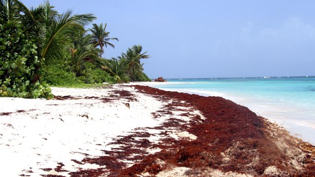 Culebra