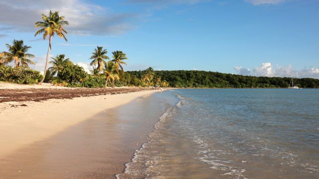 Het klimaat van Vieques en de beste reistijd