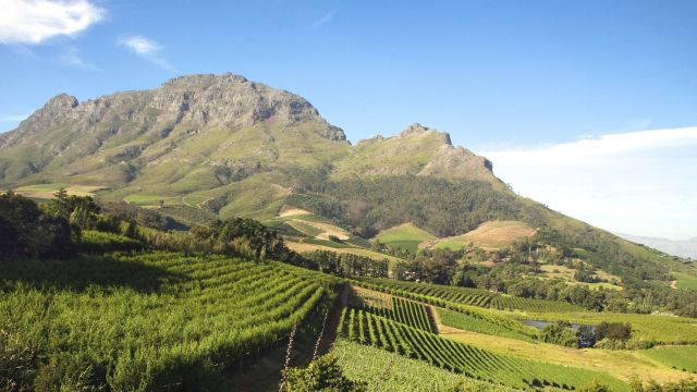 Franschhoek