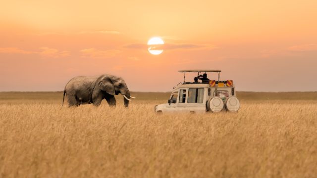 Masai Mara National Reserve