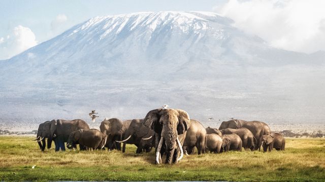 Amboseli National Park