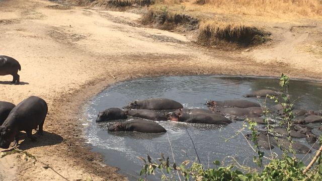 Weer in  Katavi National Park in oktober