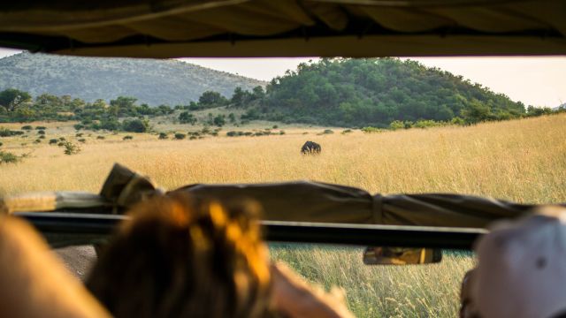 Pilanesberg National Park