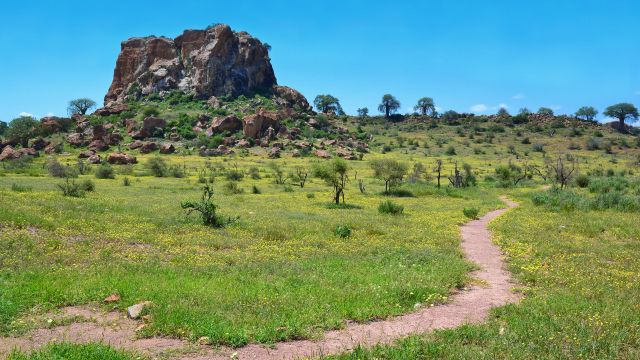 Mapungubwe National Park