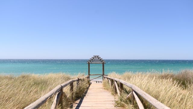 Das Klima von El Palmar