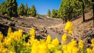 Weer en temperatuur in La Palma in maart 2026