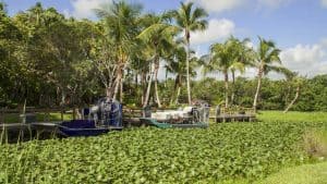 Everglades National Park temperaturen, klimaat en het weer per maand