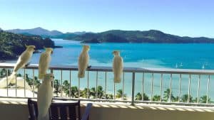Hamilton Island temperaturen, klimaat en het weer per maand